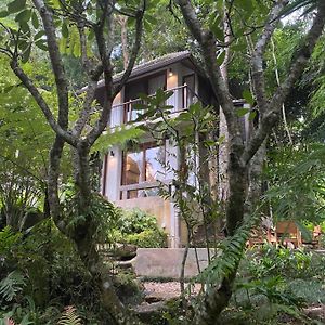 Fern Hill Villa